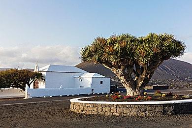 《文明7》Steam褒贬不一 官方确认将重点改进UI