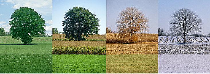 《星刃》官方分享超美壁纸：渡鸦躺平展示好身材