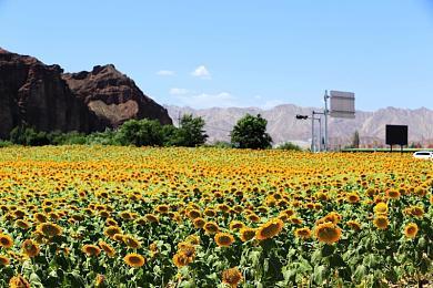 欧美服PS PLus四月新入库游戏公布：《蓝途王子》等